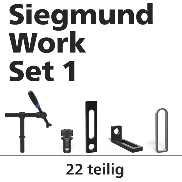 Set 1 Siegmund Work MS 15+15